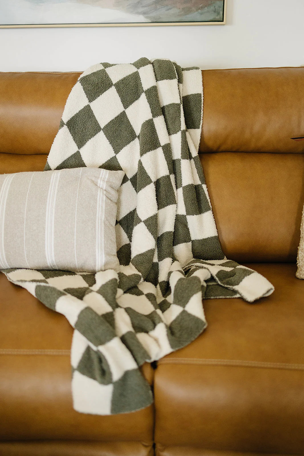 Plush Blankets