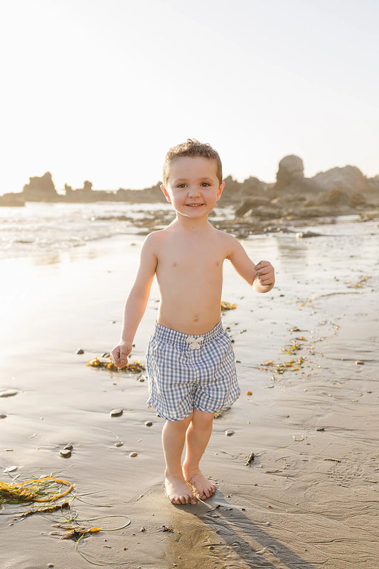 Light Blue Gingham Swim Shorts