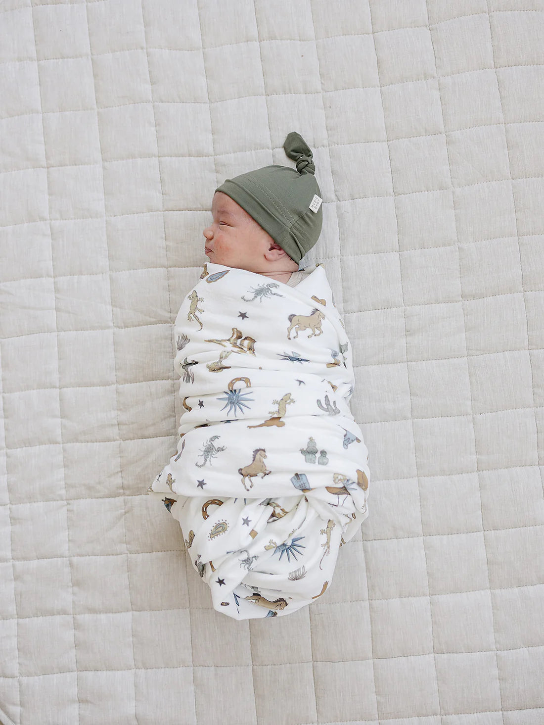 Desert West Luxe Fleece Blanket