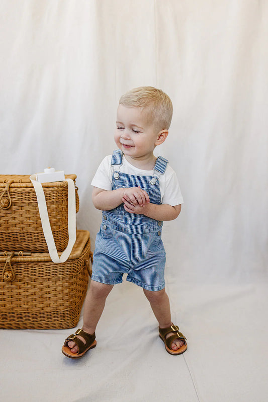 Short Blue Striped Overalls