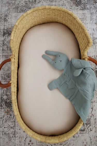 Sage Bunny Lovey